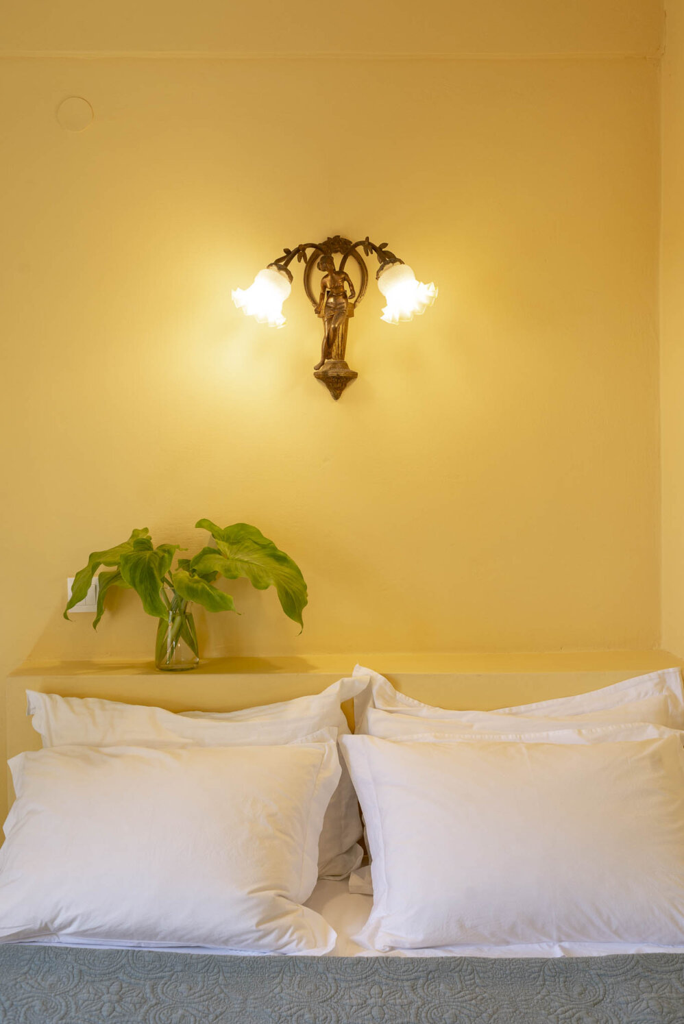 Villamaria Amarylis 17 1906