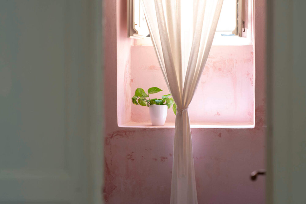 Villamaria Anemone 6 2262