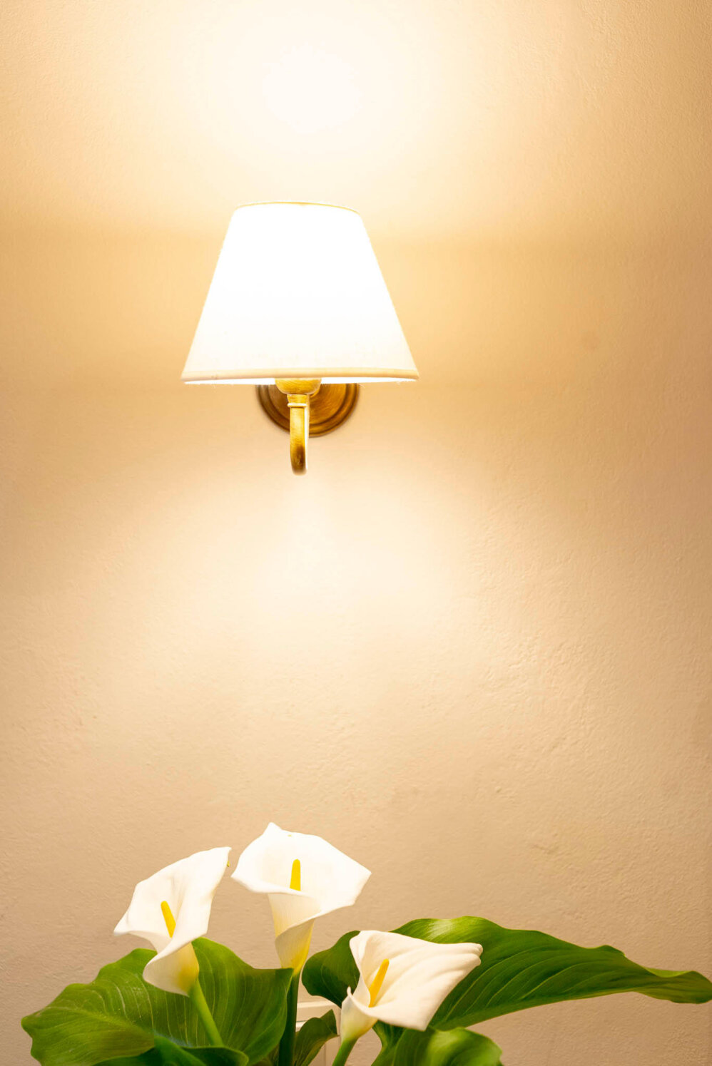 Villamaria Elichryssos 11 1123