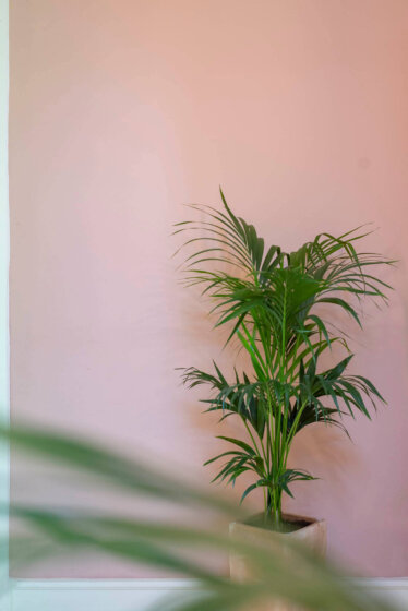 Villamaria Hall 1 0918